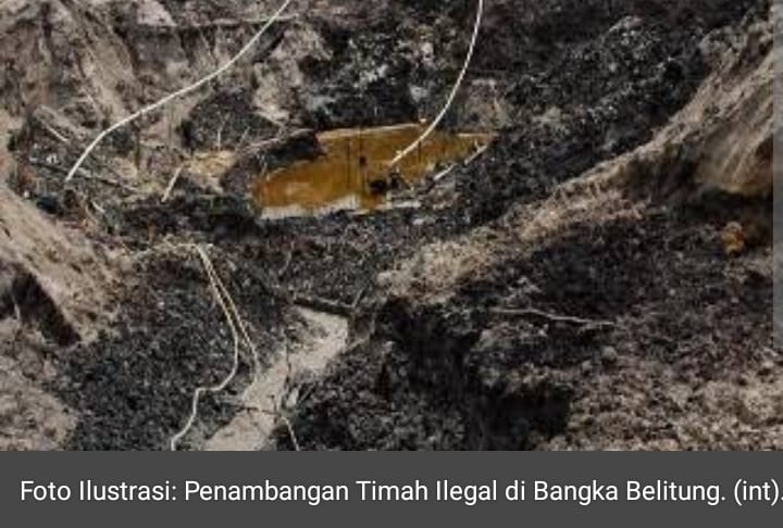 Mantan Plt Kadis di Bangka Jadi DPO Kasus Perambahan Hutan Produksi