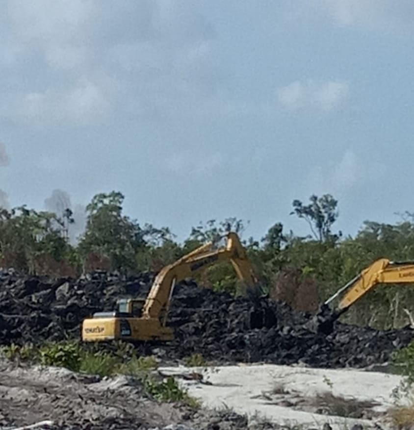 Dua Unit Excavator Bongkar Hutan Lindung (Bakau) Pantai, toboali Bangka selatan,Diduga ada keterlibatan Oknum APH